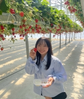 東大生の家庭教師