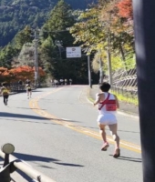 東大生の家庭教師