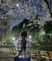 東大生の家庭教師