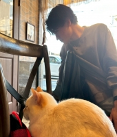 東大生の家庭教師