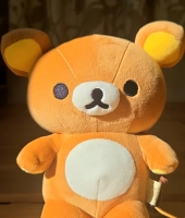東大生の家庭教師