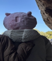 東大生の家庭教師