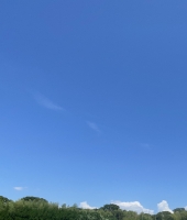 東大生の家庭教師