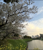 東大生の家庭教師