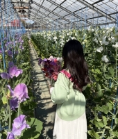東大生の家庭教師