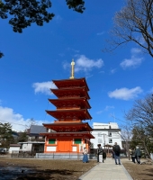 東大生の家庭教師