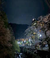 東大生の家庭教師