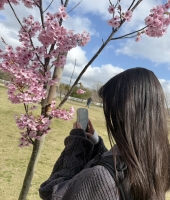 東大生の家庭教師