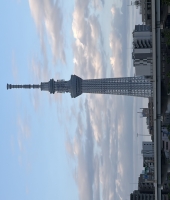 東大生の家庭教師