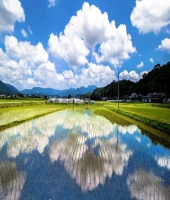 東大生の家庭教師
