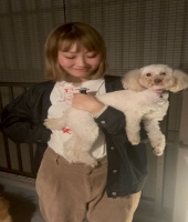 東大生の家庭教師