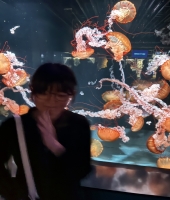 東大生の家庭教師