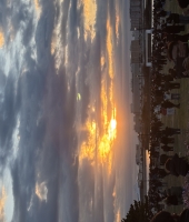 東大生の家庭教師